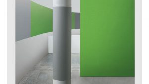 caimi-2
